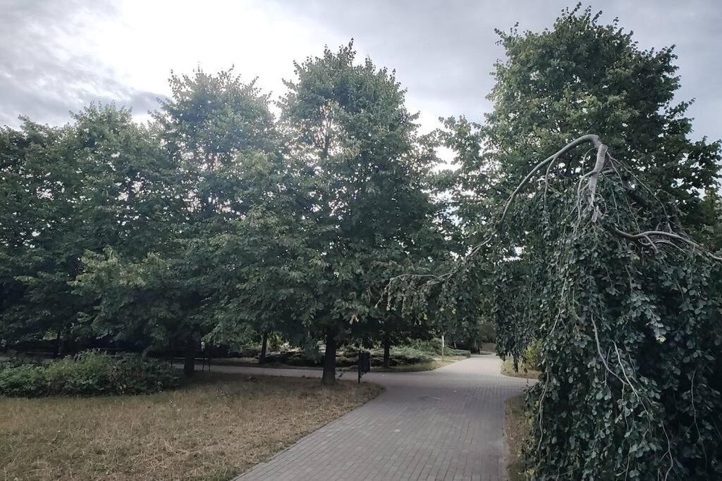 Zielona Wiolinowa Lägenhet Warszawa Exteriör bild